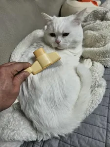 New user offer: Only $1.29!   ZenBrush™ - Removes Fur & Relieves Pain photo review